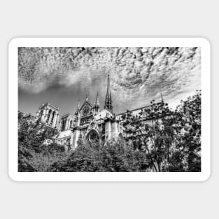 Notre Dame de Paris, Through The Trees Black And White Sticker